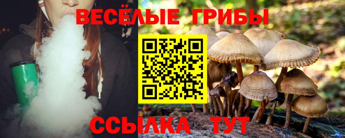 Галлюциногенные грибы Cubensis  Галлюциногенные грибы Magic Shrooms  Вход с VPN  Изобильный 
