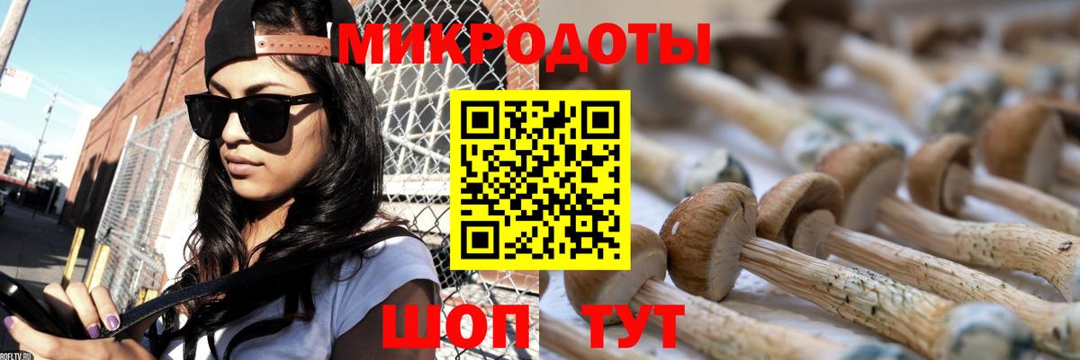 Галлюциногенные грибы GOLDEN TEACHER Изобильный